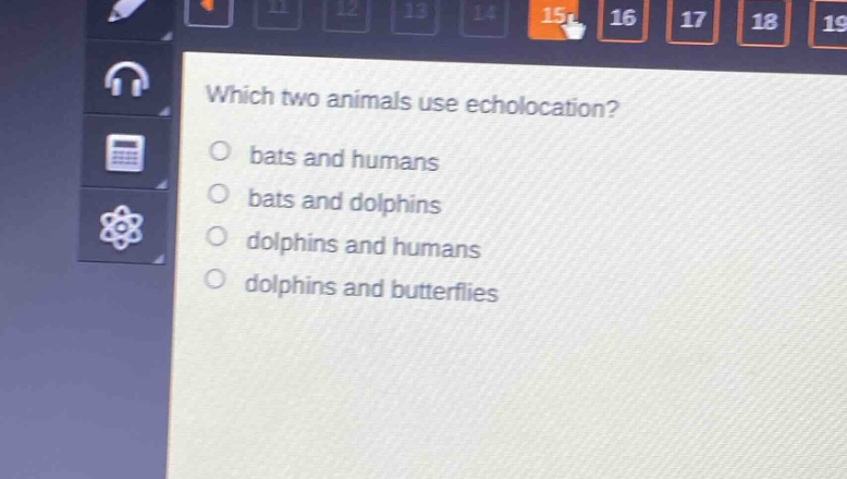which two animals use echolocation?\no bats and humans\no bats and dolphins\no dolphins and humans\no dolphins and butterflies
