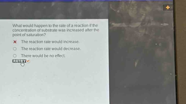 what would happen to the rate of a reaction if the concentration of substrate was increased after the point of saturation? the reaction rate would increase. the reaction rate would decrease. there would be no effect.