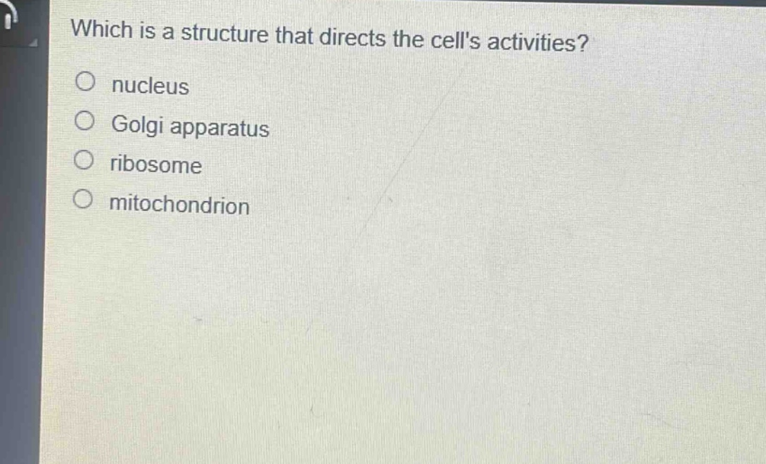 which is a structure that directs the cells activities?\n nucleus\n golgi apparatus\n ribosome\n mitochondrion