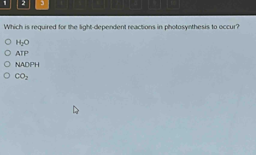 which is required for the light - dependent reactions in photosynthesis to occur?\no h₂o\no atp\no nadph\no co₂