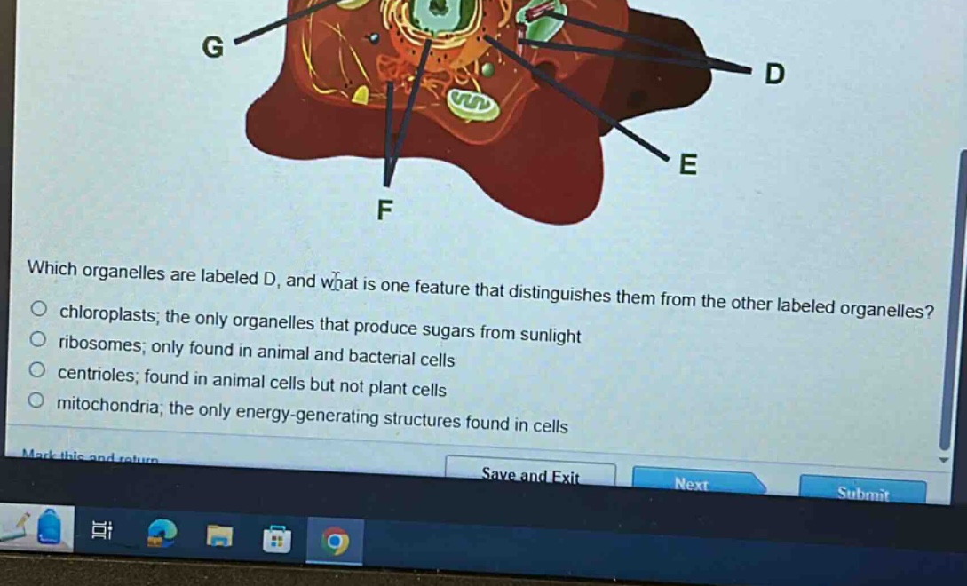which organelles are labeled d, and what is one feature that distinguishes them from the other labeled organelles? chloroplasts; the only organelles that produce sugars from sunlight ribosomes; only found in animal and bacterial cells centrioles; found in animal cells but not plant cells mitochondria; the only energy - generating structures found in cells