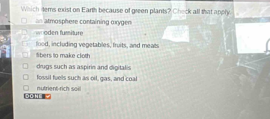 which items exist on earth because of green plants? check all that apply. an atmosphere containing oxygen wooden furniture food, including vegetables, fruits, and meats fibers to make cloth drugs such as aspirin and digitalis fossil fuels such as oil, gas, and coal nutrient - rich soil done