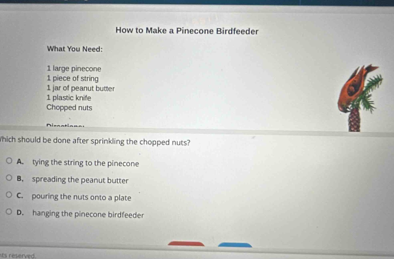how to make a pinecone birdfeeder\nwhat you need:\n1 large pinecone\n1 piece of string\n1 jar of peanut butter\n1 plastic knife\nchopped nuts\nwhich should be done after sprinkling the chopped nuts?\na. tying the string to the pinecone\nb. spreading the peanut butter\nc. pouring the nuts onto a plate\nd. hanging the pinecone birdfeeder