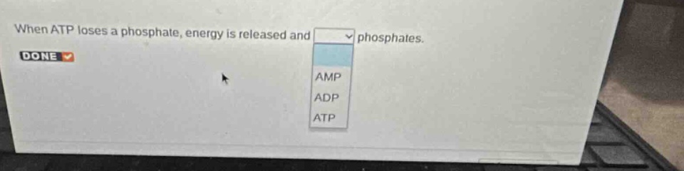 when atp loses a phosphate, energy is released and phosphates. done amp adp atp