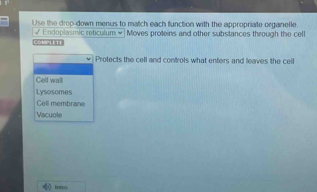 use the drop - down menus to match each function with the appropriate organelle. endoplasmic reticulum moves proteins and other substances through the cell complete protects the cell and controls what enters and leaves the cell cell wall lysosomes cell membrane vacuole
