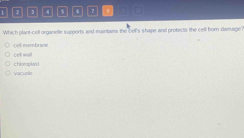 which plant - cell organelle supports and maintains the cells shape and protects the cell from damage?\ncell membrane\ncell wall\nchloroplast\nvacuole