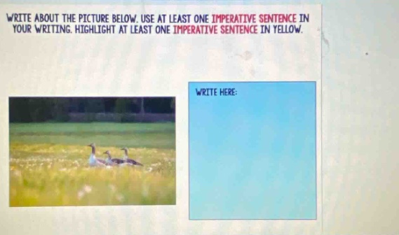 write about the picture below. use at least one imperative sentence in your writing. highlight at least one imperative sentence in yellow. write here: