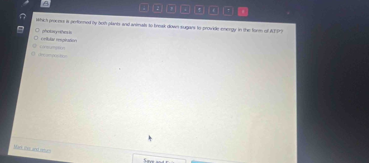 which process is performed by both plants and animals to break down sugars to provide energy in the form of atp?\nphotosynthesis\ncellular respiration\nconsumption\ndecomposition