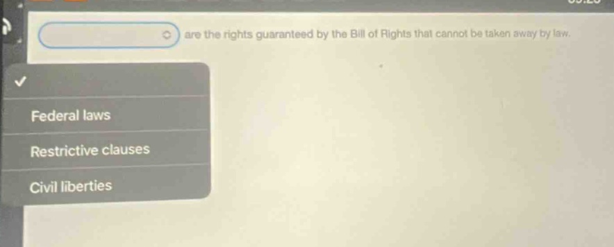 are the rights guaranteed by the bill of rights that cannot be taken away by law. federal laws restrictive clauses civil liberties