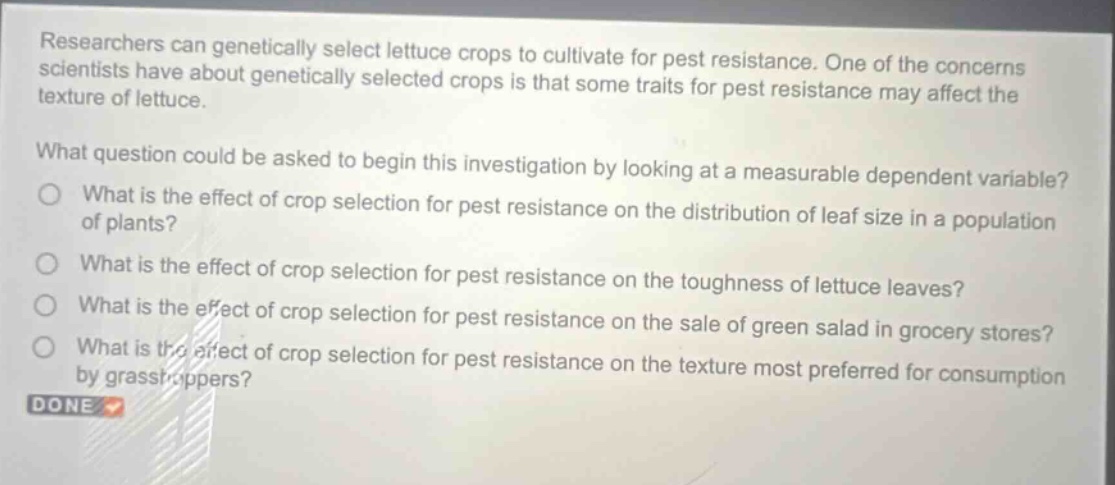 researchers can genetically select lettuce crops to cultivate for pest resistance. one of the concerns scientists have about genetically selected crops is that some traits for pest resistance may affect the texture of lettuce. what question could be asked to begin this investigation by looking at a measurable dependent variable? what is the effect of crop selection for pest resistance on the distribution of leaf size in a population of plants? what is the effect of crop selection for pest resistance on the toughness of lettuce leaves? what is the effect of crop selection for pest resistance on the sale of green salad in grocery stores? what is the effect of crop selection for pest resistance on the texture most preferred for consumption by grasshoppers? done