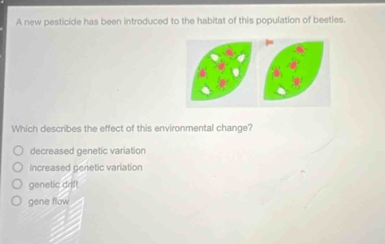 a new pesticide has been introduced to the habitat of this population of beetles. which describes the effect of this environmental change? decreased genetic variation increased genetic variation genetic drift gene flow