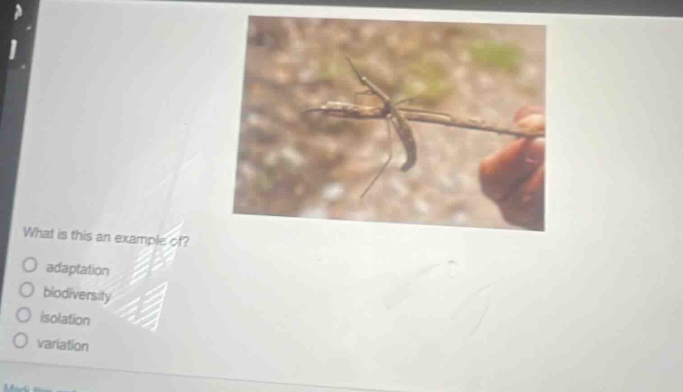 what is this an example of?\nadaptation\nbiodiversity\nisolation\nvariation