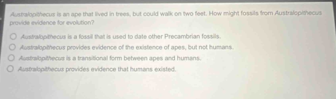 australopithecus is an ape that lived in trees, but could walk on two feet. how might fossils from australopithecus provide evidence for evolution? australopithecus is a fossil that is used to date other precambrian fossils. australopithecus provides evidence of the existence of apes, but not humans. australopithecus is a transitional form between apes and humans. australopithecus provides evidence that humans existed.