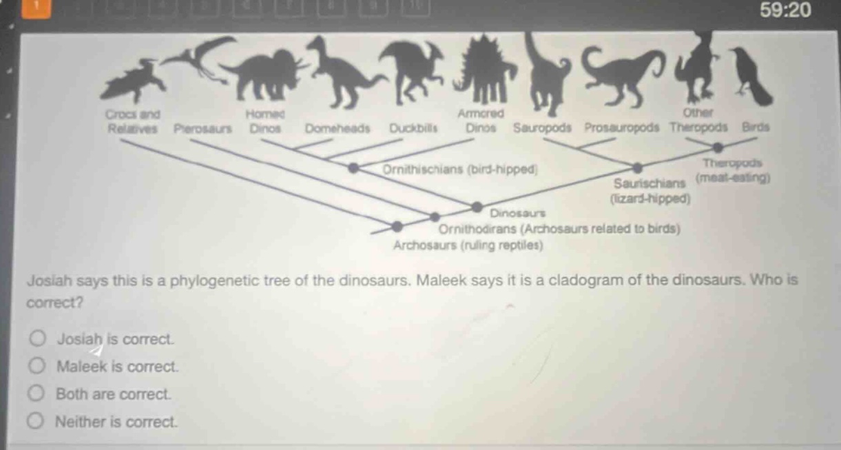 josiah says this is a phylogenetic tree of the dinosaurs. maleek says it is a cladogram of the dinosaurs. who is correct? josiah is correct. maleek is correct. both are correct. neither is correct.