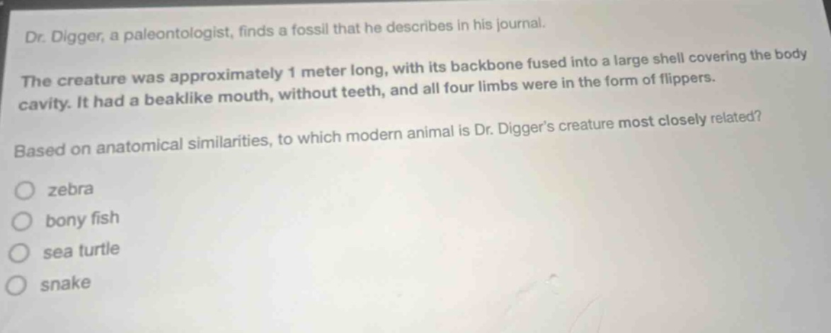 dr. digger, a paleontologist, finds a fossil that he describes in his journal. the creature was approximately 1 meter long, with its backbone fused into a large shell covering the body cavity. it had a beaklike mouth, without teeth, and all four limbs were in the form of flippers. based on anatomical similarities, to which modern animal is dr. diggers creature most closely related? zebra bony fish sea turtle snake