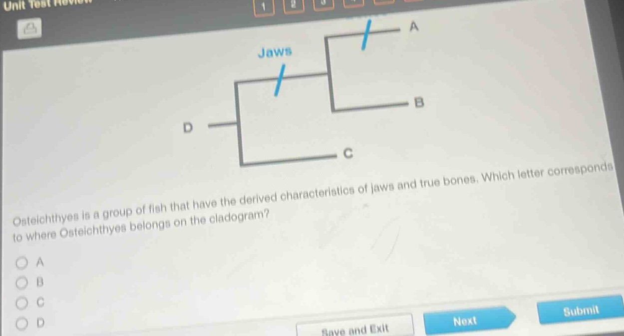 osteichthyes is a group of fish that have the derived characteristics of jaws and true bones. which letter corresponds to where osteichthyes belongs on the cladogram? a b c d