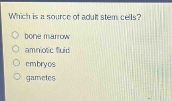 which is a source of adult stem cells?\no bone marrow\no amniotic fluid\no embryos\no gametes