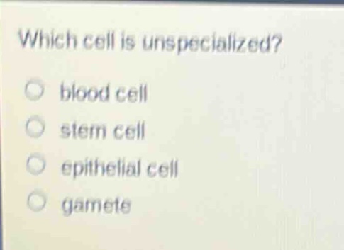 which cell is unspecialized? blood cell stem cell epithelial cell gamete