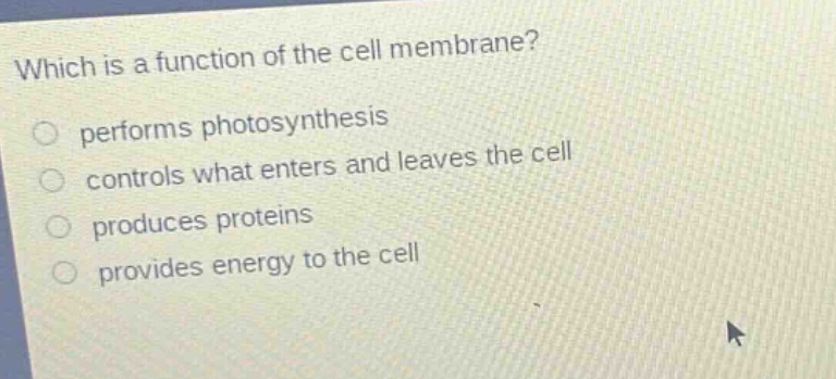 which is a function of the cell membrane? performs photosynthesis controls what enters and leaves the cell produces proteins provides energy to the cell