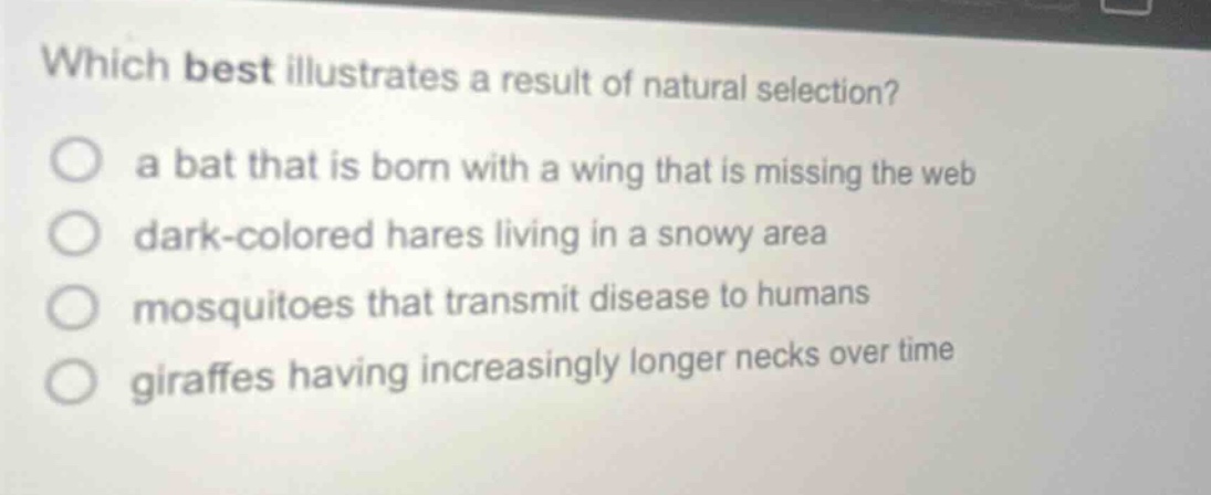 which best illustrates a result of natural selection? a bat that is born with a wing that is missing the web dark - colored hares living in a snowy area mosquitoes that transmit disease to humans giraffes having increasingly longer necks over time
