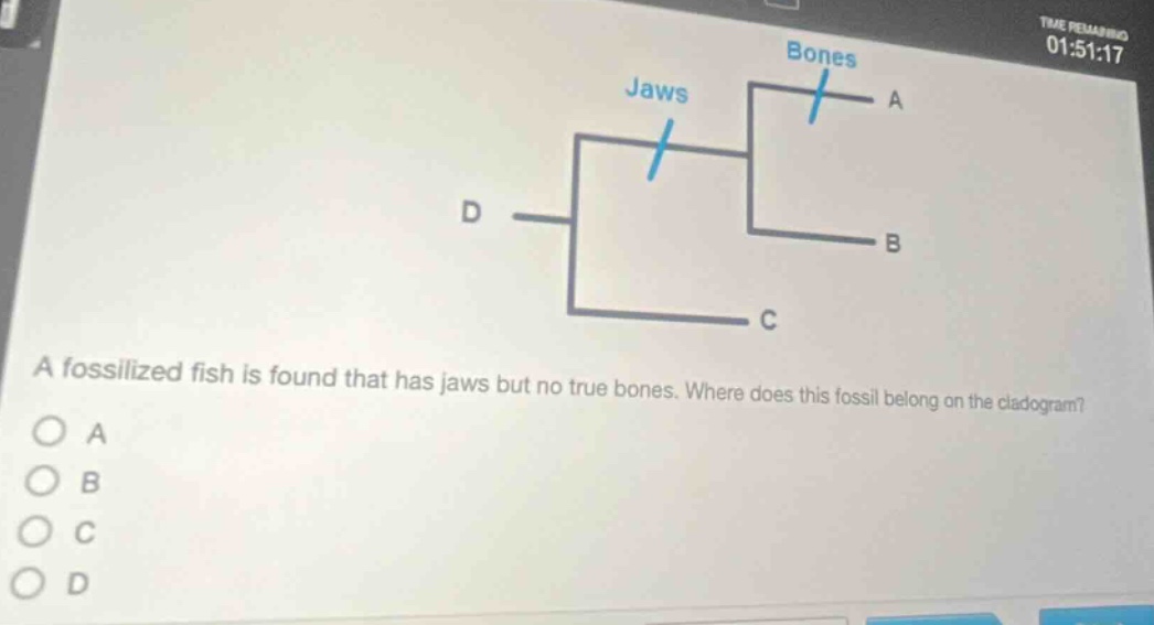 a fossilized fish is found that has jaws but no true bones. where does this fossil belong on the cladogram? a b c d