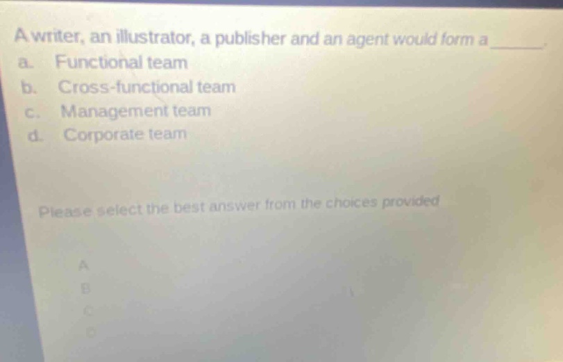 a writer, an illustrator, a publisher and an agent would form a______ a. functional team b. cross - functional team c. management team d. corporate team please select the best answer from the choices provided