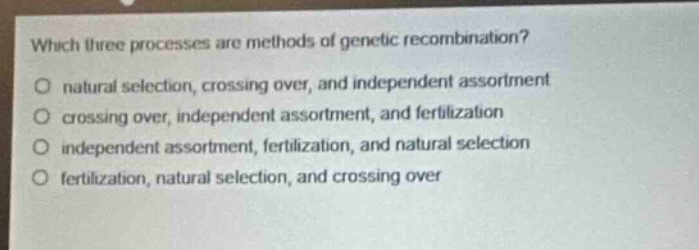 which three processes are methods of genetic recombination? natural selection, crossing over, and independent assortment crossing over, independent assortment, and fertilization independent assortment, fertilization, and natural selection fertilization, natural selection, and crossing over