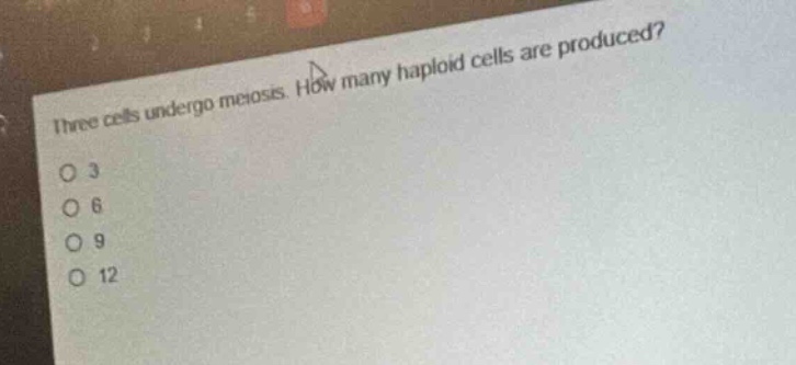three cells undergo meiosis. how many haploid cells are produced?\no 3\no 6\no 9\no 12