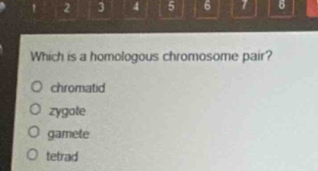 which is a homologous chromosome pair? chromatid zygote gamete tetrad