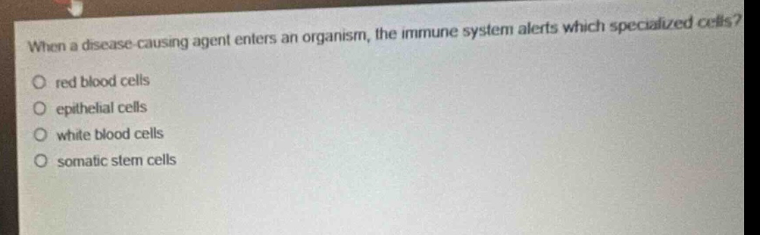 when a disease - causing agent enters an organism, the immune system alerts which specialized cells? red blood cells epithelial cells white blood cells somatic stem cells