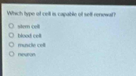 which type of cell is capable of self - renewal?\no stem cell\no blood cell\no muscle cell\no neuron