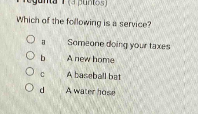 which of the following is a service?\no a someone doing your taxes\no b a new home\no c a baseball bat\no d a water hose