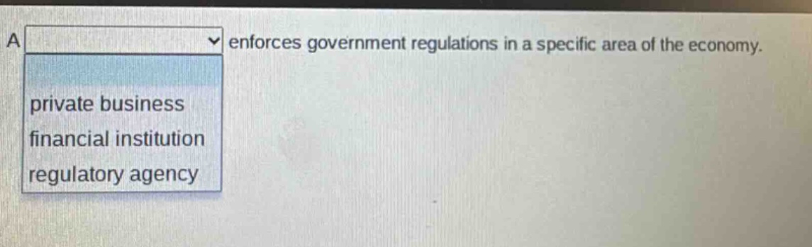 a enforces government regulations in a specific area of the economy. private business financial institution regulatory agency