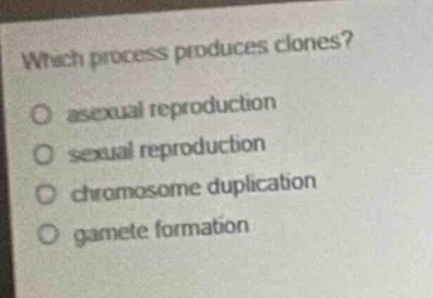 which process produces clones?\no asexual reproduction\no sexual reproduction\no chromosome duplication\no gamete formation