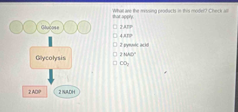 what are the missing products in this model? check all that apply. 2 atp 4 atp 2 pyruvic acid 2 nad+ co2