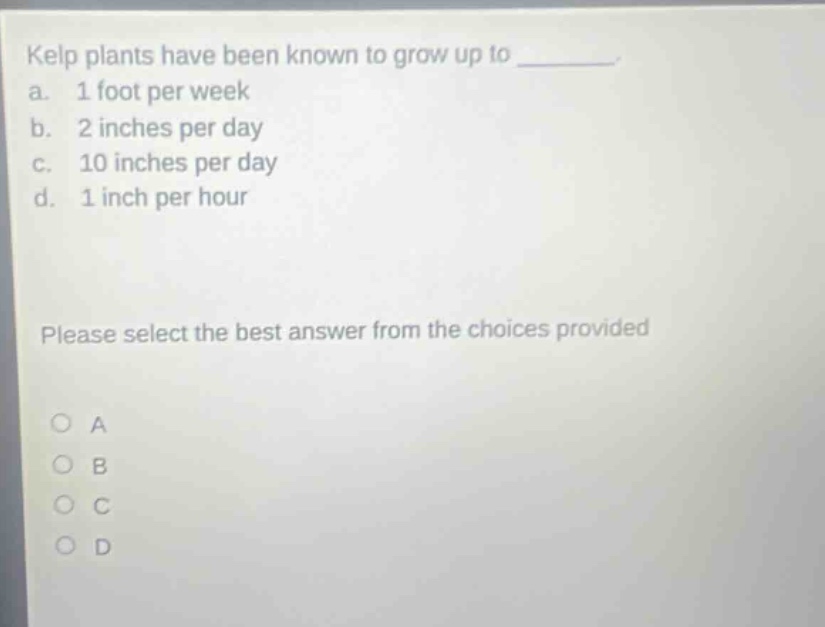 kelp plants have been known to grow up to ________. a. 1 foot per week b. 2 inches per day c. 10 inches per day d. 1 inch per hour please select the best answer from the choices provided
