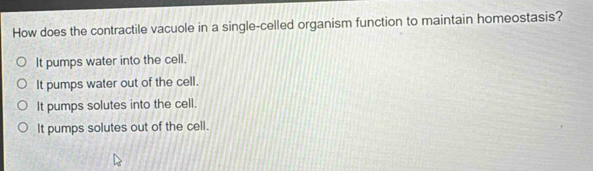 how does the contractile vacuole in a single - celled organism function to maintain homeostasis? it pumps water into the cell. it pumps water out of the cell. it pumps solutes into the cell. it pumps solutes out of the cell.