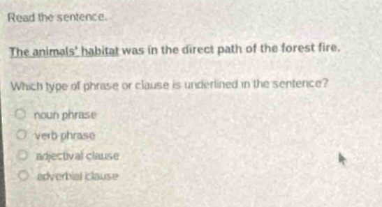 read the sentence. the animals habitat was in the direct path of the forest fire. which type of phrase or clause is underlined in the sentence? noun phrase verb phrase adjectival clause adverbial clause