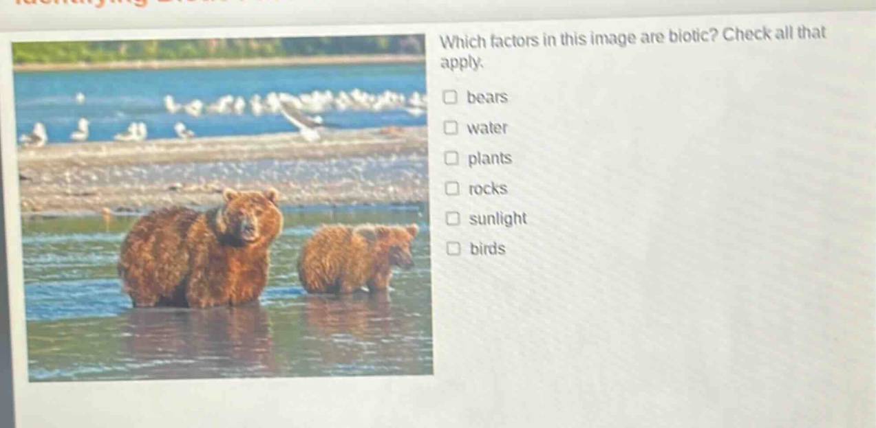 which factors in this image are biotic? check all that apply. bears water plants rocks sunlight birds