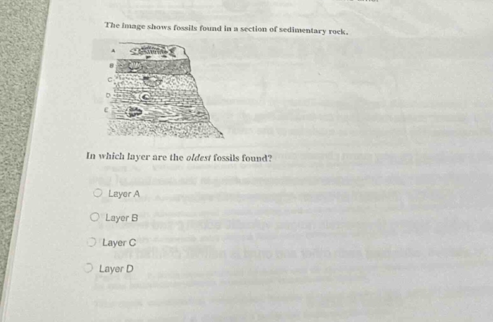 the image shows fossils found in a section of sedimentary rock. in which layer are the oldest fossils found? layer a layer b layer c layer d