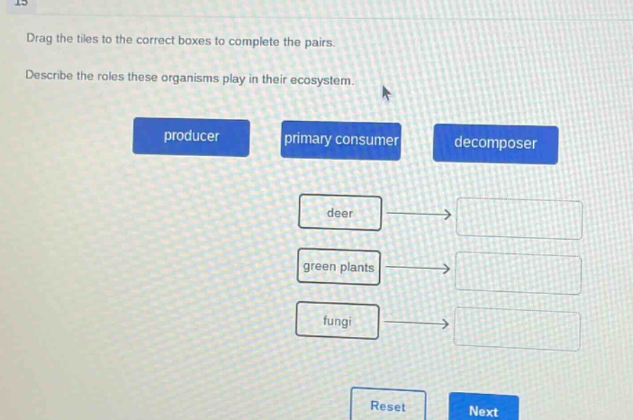 drag the tiles to the correct boxes to complete the pairs. describe the roles these organisms play in their ecosystem. producer primary consumer decomposer deer green plants fungi reset next