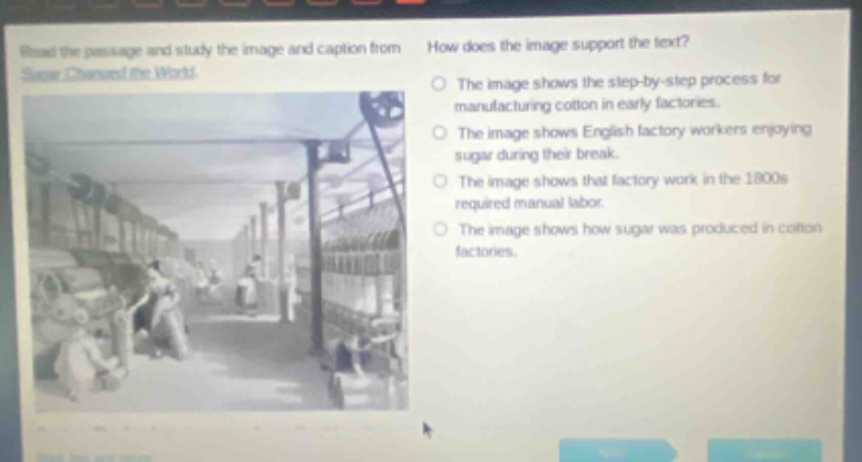 read the passage and study the image and caption from sugar changed the world. how does the image support the text? the image shows the step - by - step process for manufacturing cotton in early factories. the image shows english factory workers enjoying sugar during their break. the image shows that factory work in the 1800s required manual labor. the image shows how sugar was produced in cotton factories.