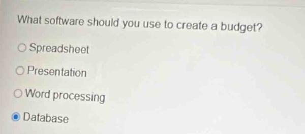 what software should you use to create a budget?\n○ spreadsheet\n○ presentation\n○ word processing\n● database