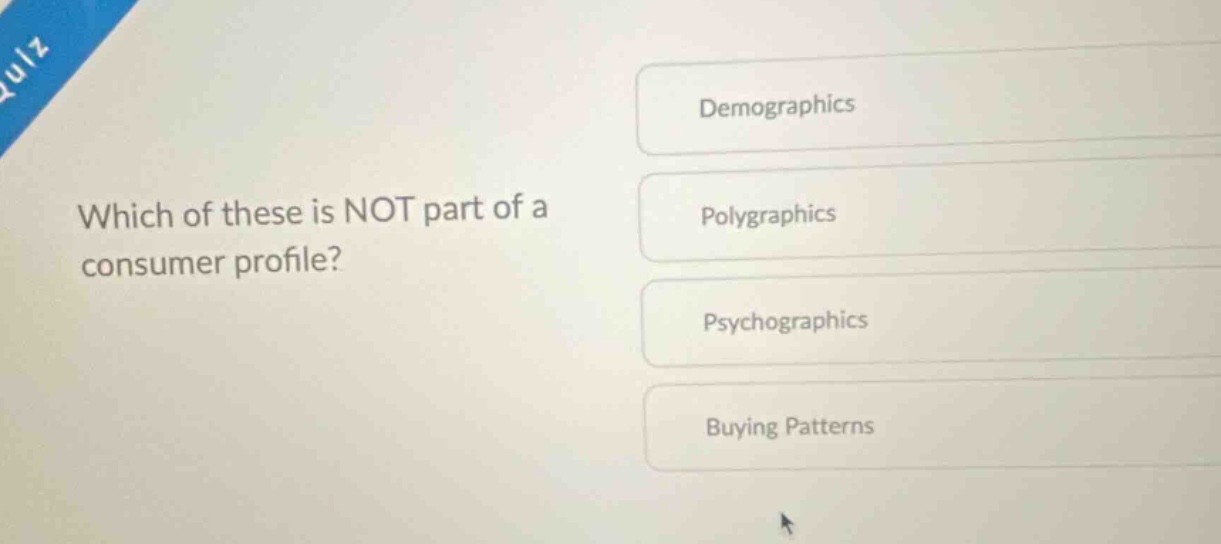 which of these is not part of a consumer profile? demographics polygraphics psychographics buying patterns