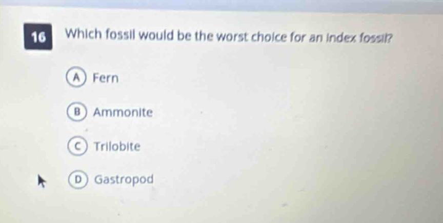 16 which fossil would be the worst choice for an index fossil? a fern b ammonite c trilobite d gastropod