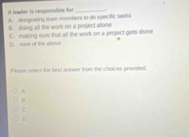 a leader is responsible for ____________ a. designating team members to do specific tasks b. doing all the work on a project alone c. making sure that all the work on a project gets done d. none of the above please select the best answer from the choices provided.