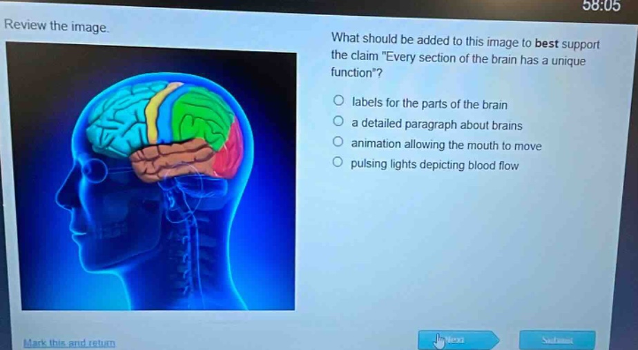 review the image. what should be added to this image to best support the claim \every section of the brain has a unique function\? labels for the parts of the brain a detailed paragraph about brains animation allowing the mouth to move pulsing lights depicting blood flow