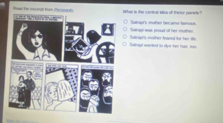read the excerpt from persepolis. what is the central idea of these panels? satrapis mother became famous. satrapi was proud of her mother. satrapis mother feared for her life. satrapi wanted to dye her hair, too.