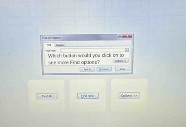 which button would you click on to see more find options?
