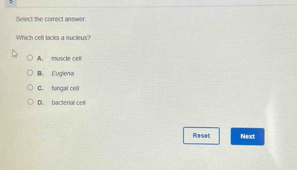 select the correct answer. which cell lacks a nucleus? a. muscle cell b. euglena c. fungal cell d. bacterial cell